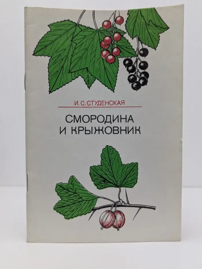 В помощь лектору. Смородина и крыжовник