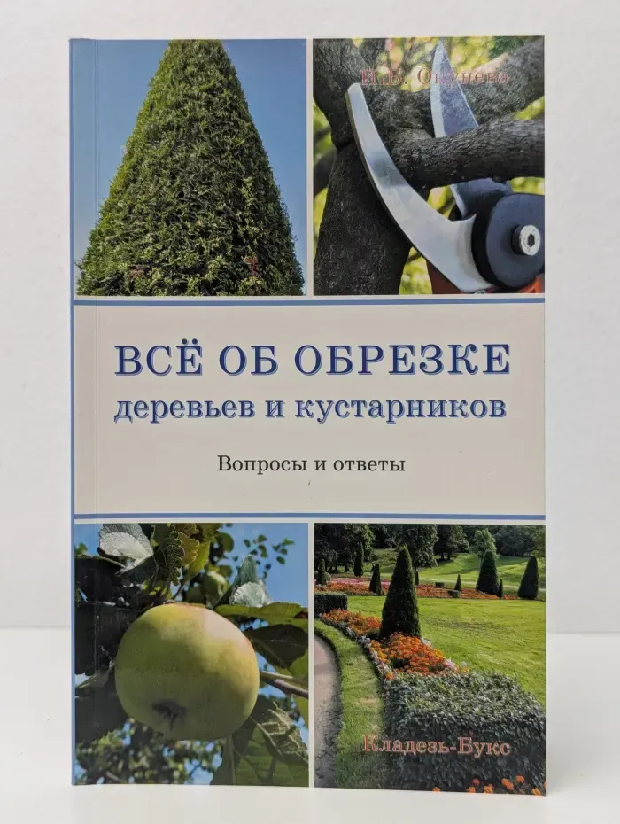 Всё об обрезке деревьев и кустарников. Вопросы и ответы
