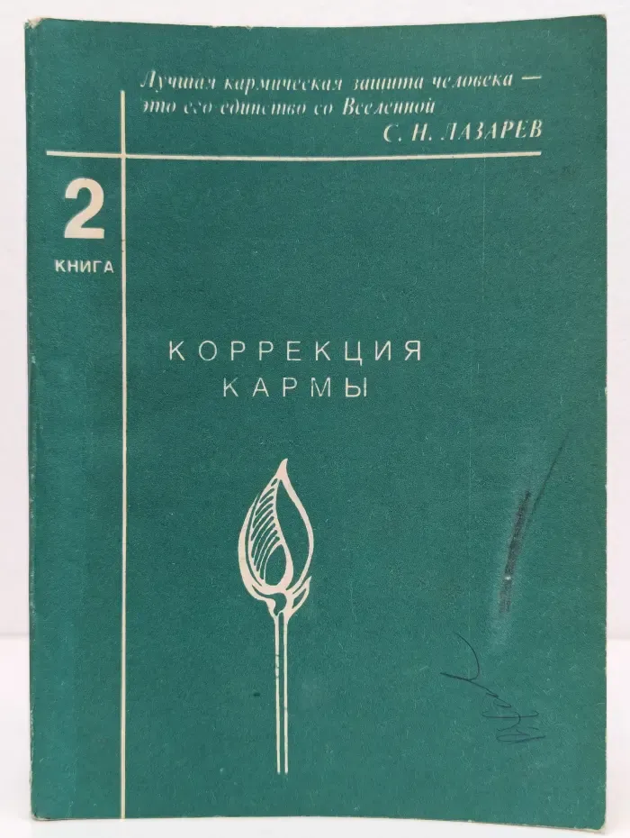 Коррекция кармы. Книга 2