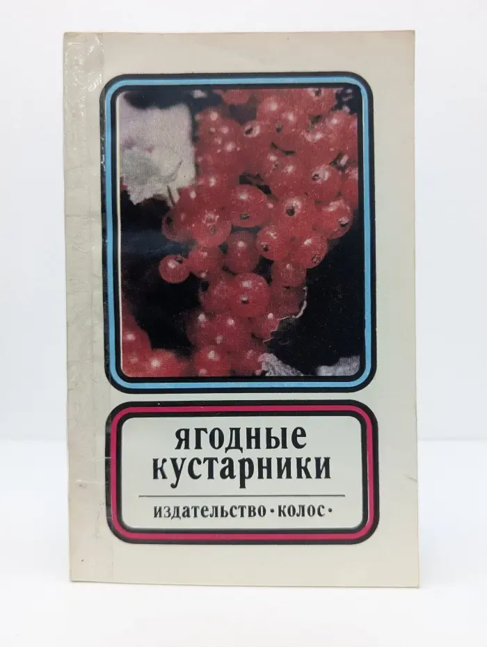 Ягодные кустарники