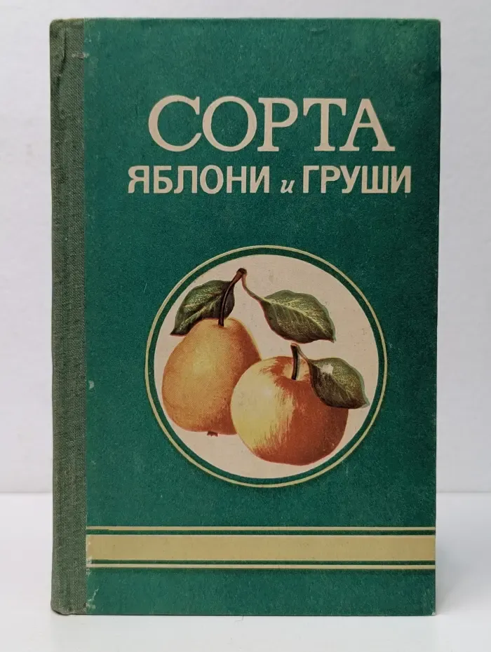 Сорта яблонь и груш
