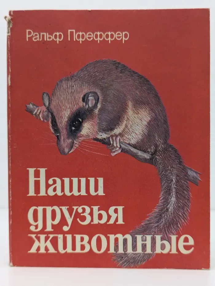 Наши друзья животные