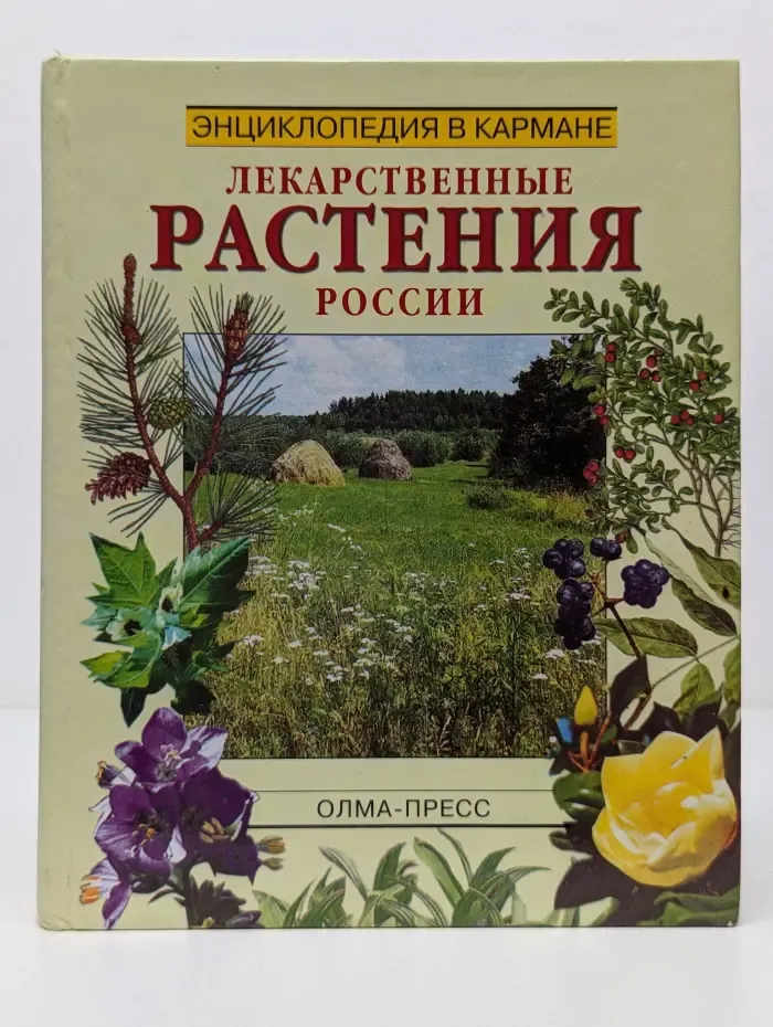 Энциклопедия в кармане. Лекарственные растения России