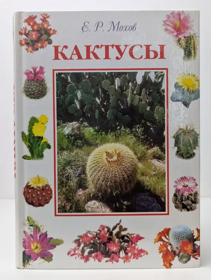 Кактусы