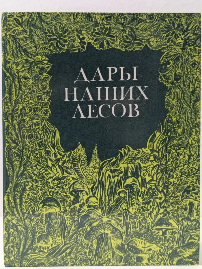 Дары наших лесов