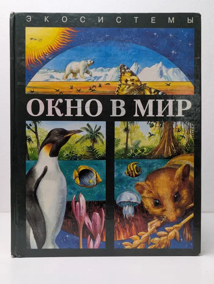 Экосистемы. Окно в мир