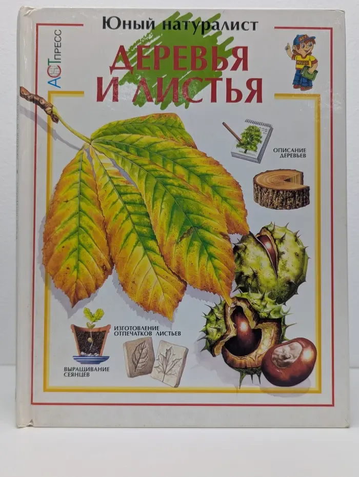 Юный натуралист. Деревья и листья