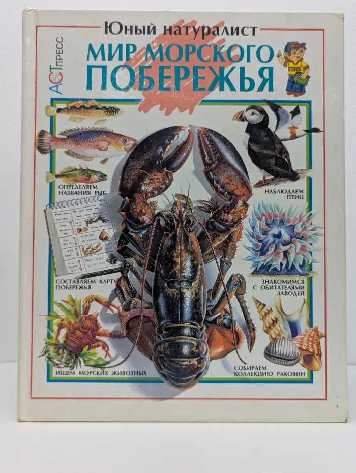 Юный натуралист. Мир морского побережья