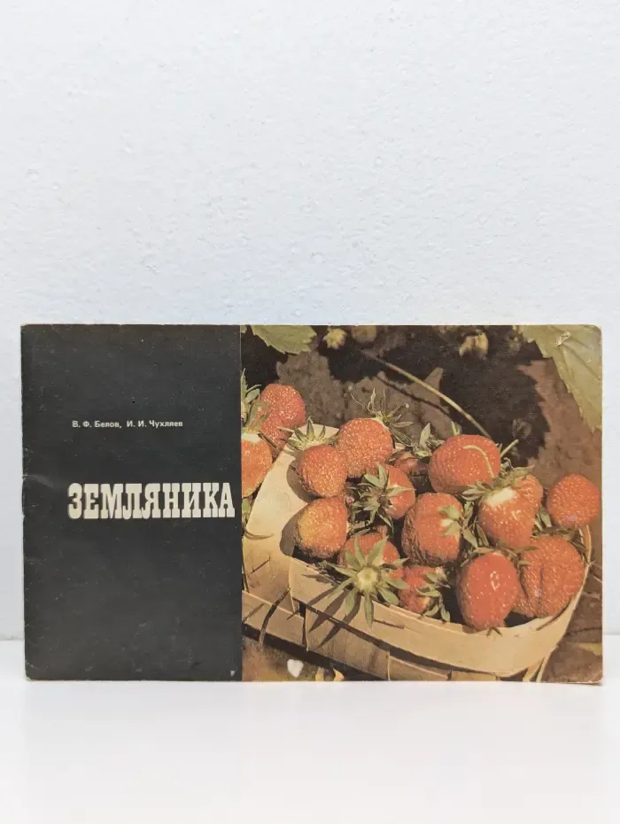 Земляника