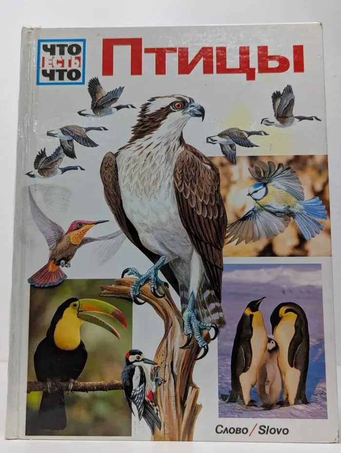 Что есть что. Птицы