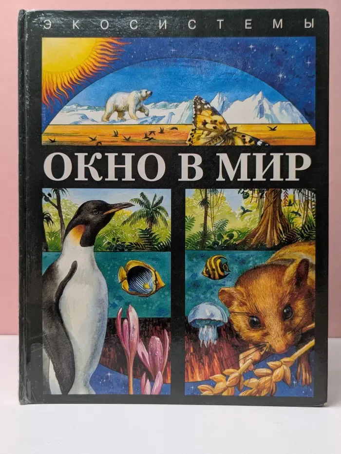 Окно в мир