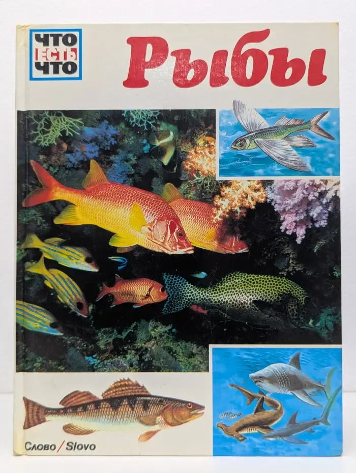 Что есть что. Рыбы