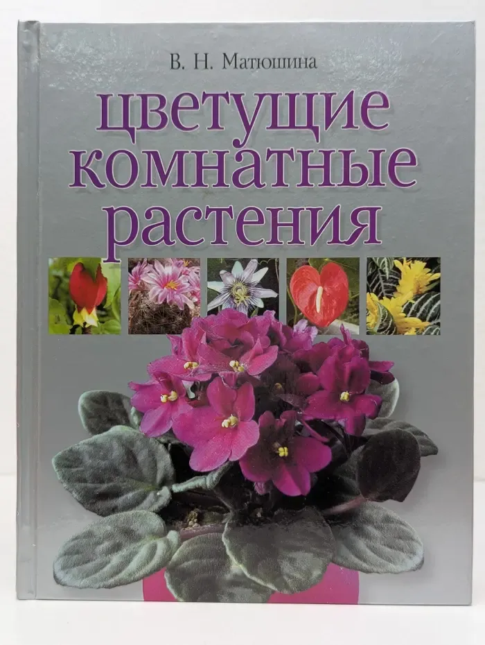Цветущие комнатные растения