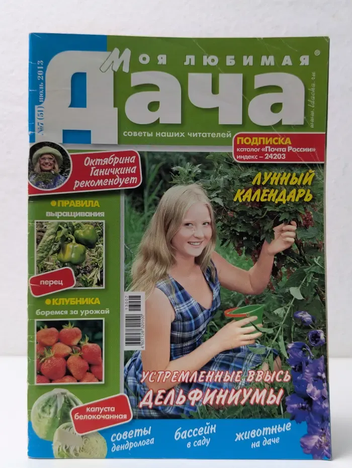 Моя любимая дача. Выпуск № 7/2013