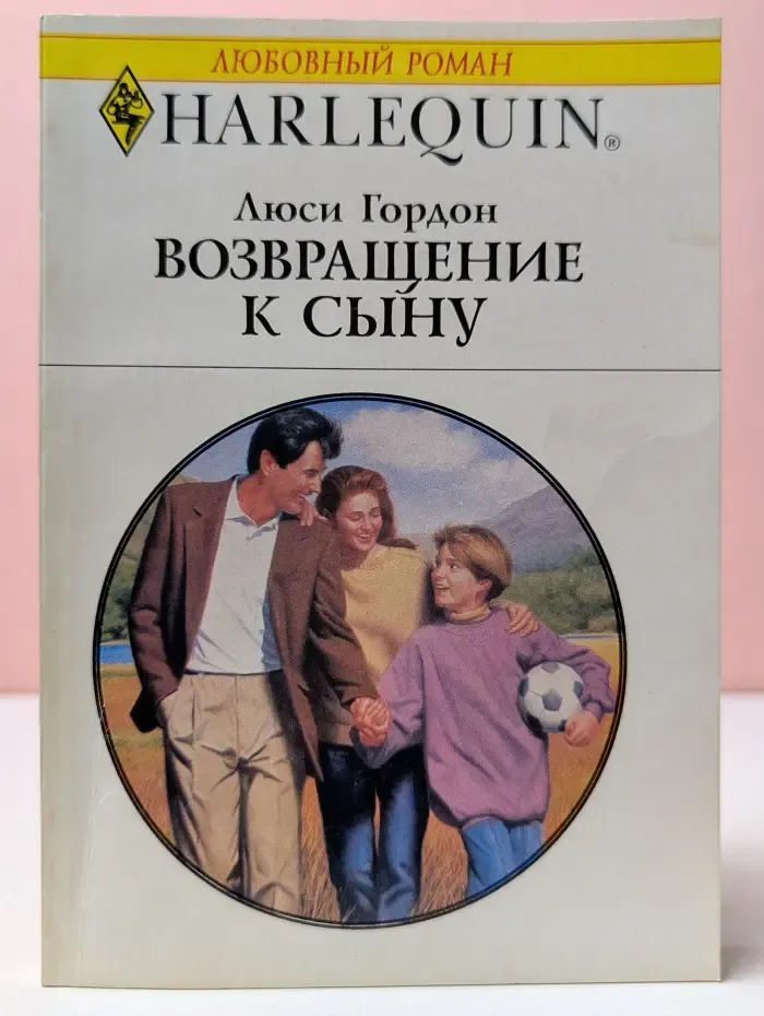 Любовный роман. Возвращение к сыну