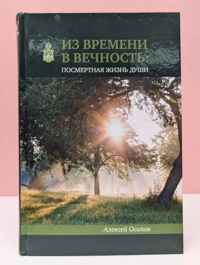 Из времени в вечность. Посмертная жизнь души