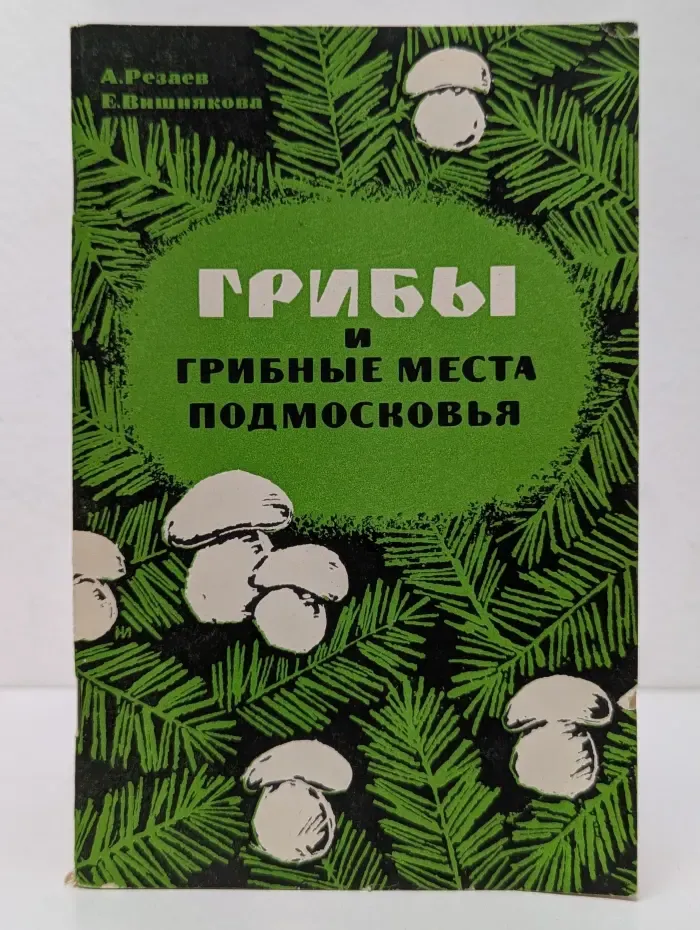 Грибы и грибные места подмосковья