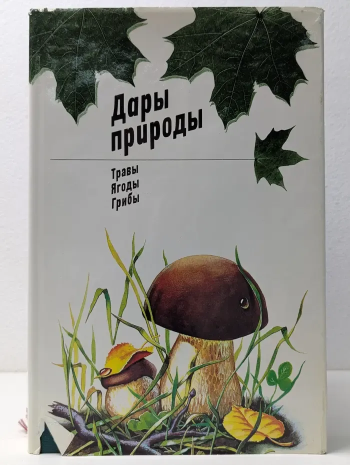 Дары природы. Трава, ягоды, грибы