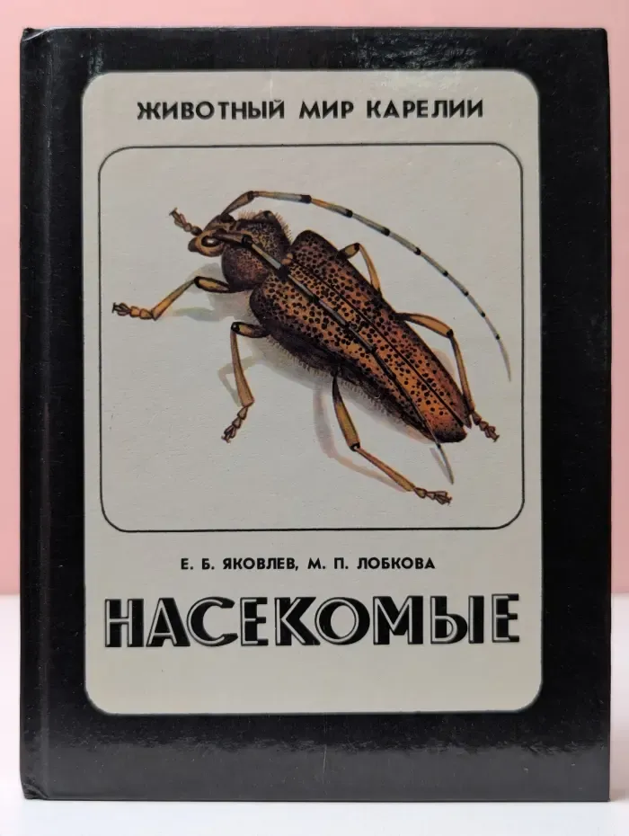 Насекомые