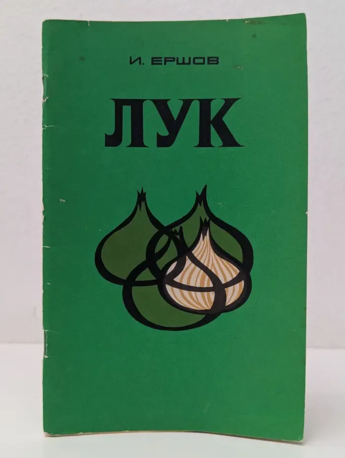 Лук