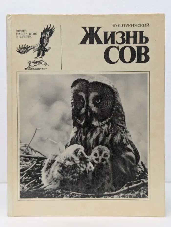 Жизнь наших птиц и зверей. Выпуск № 1. Жизнь сов