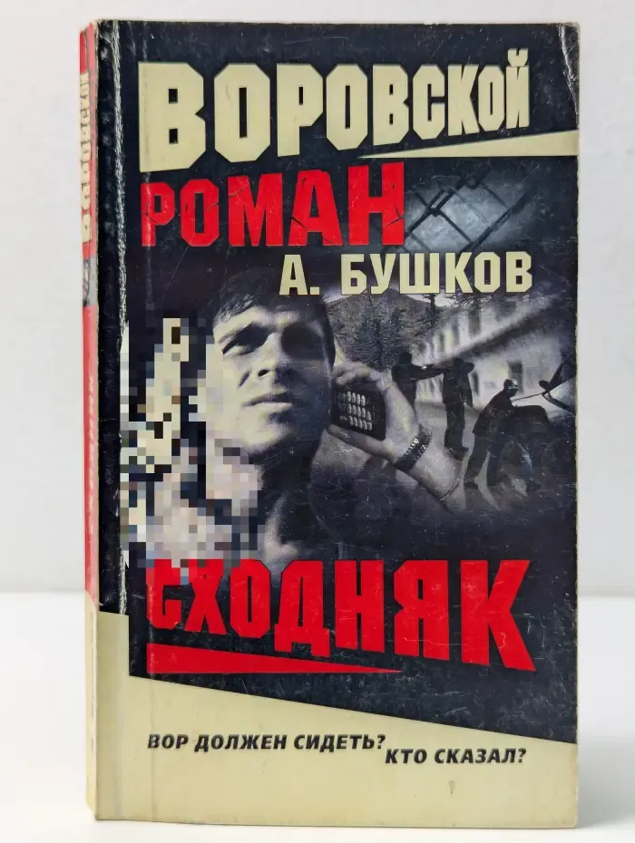 Воровской роман. Сходняк