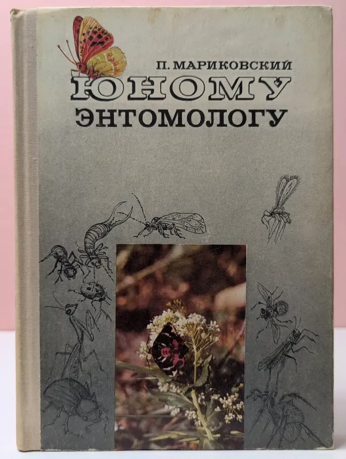Юному энтомологу