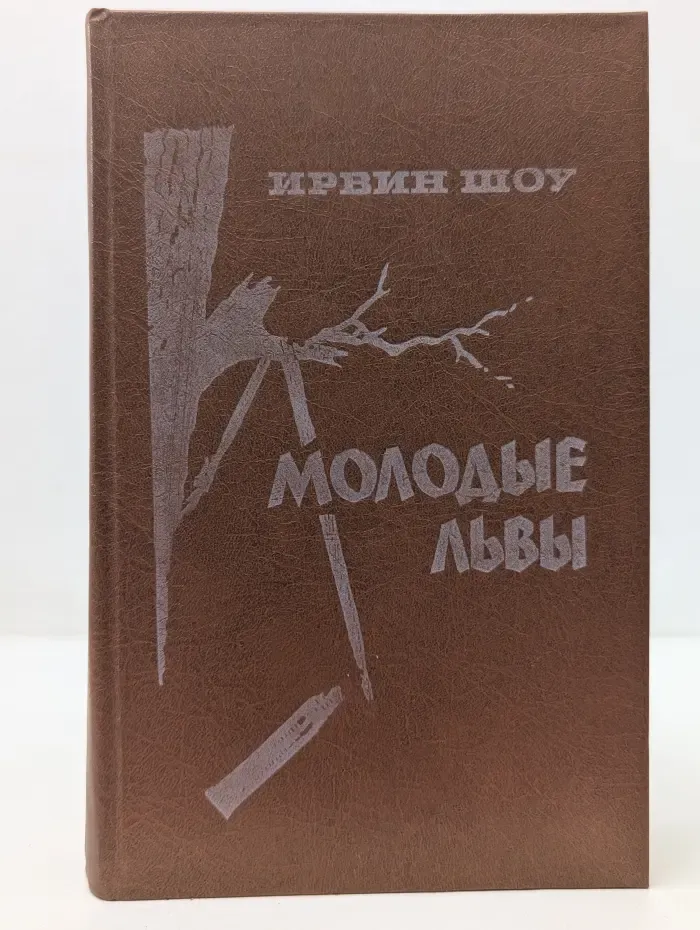 Молодые львы