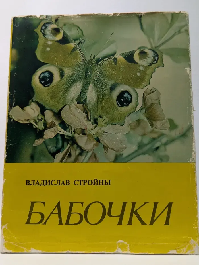 Бабочки