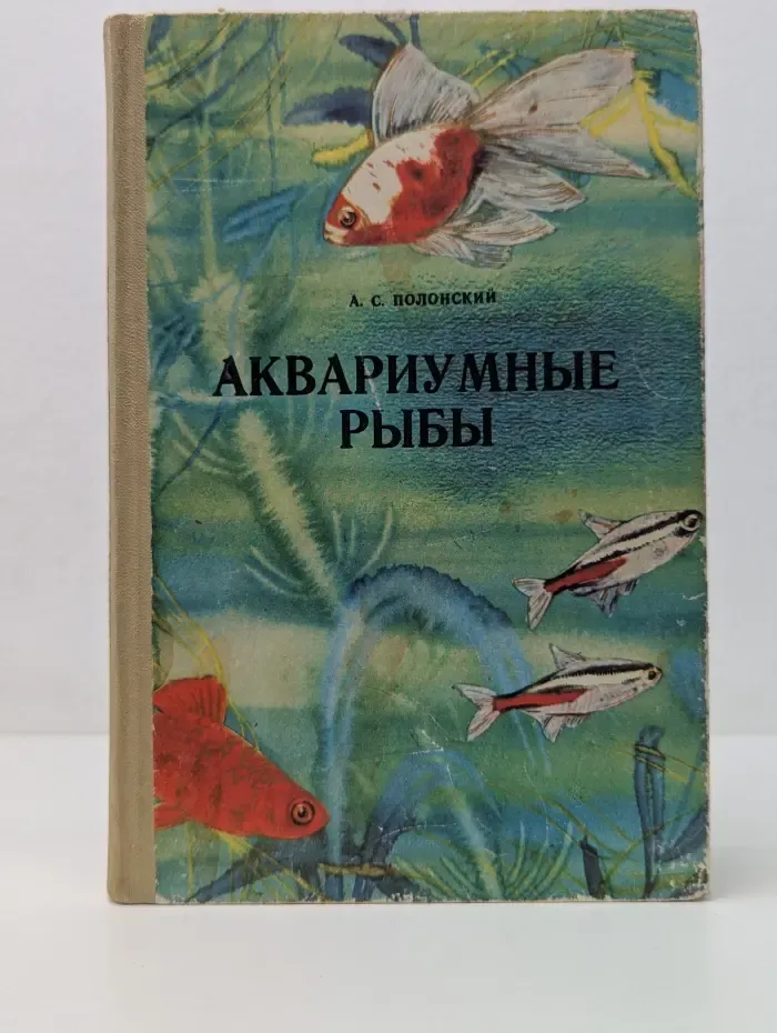 Аквариумные рыбы