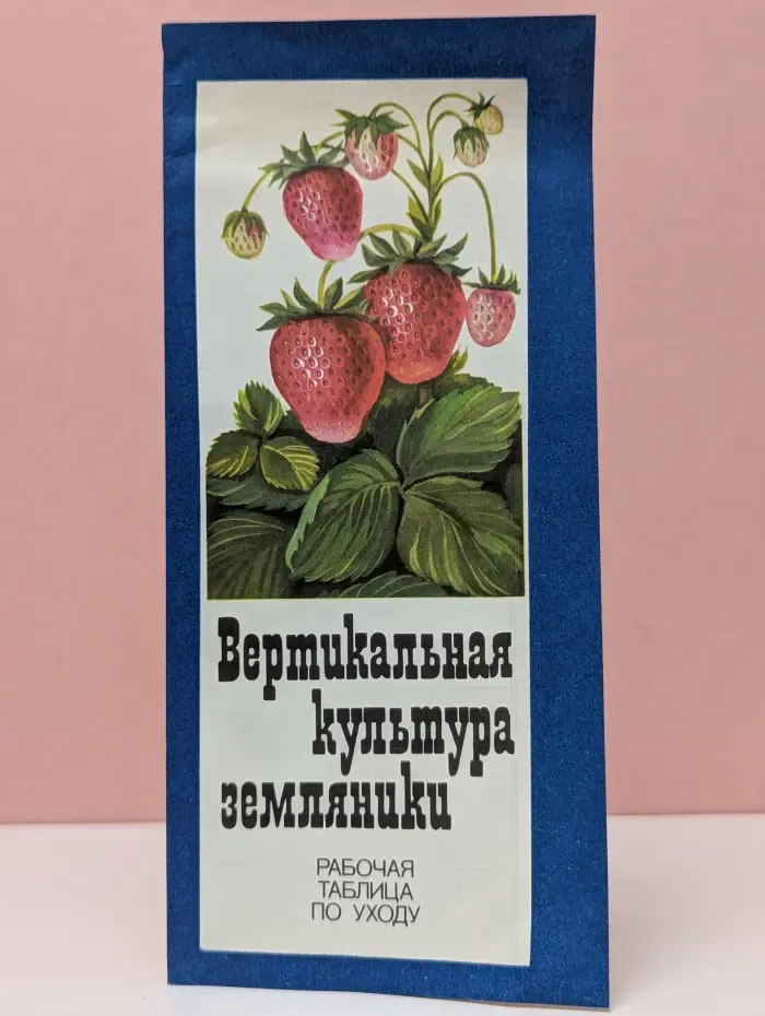 Вертикальная культура земляники