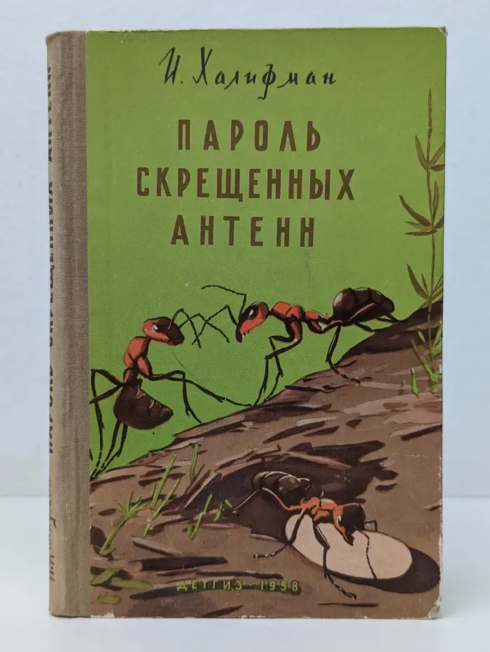 Пароль скрещенных антенн