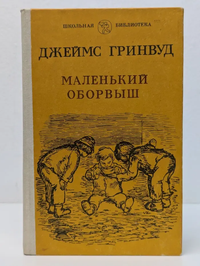 Школьная библиотека. Маленький оборвыш