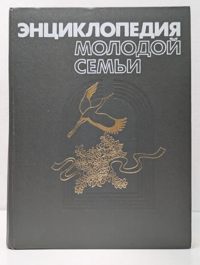 Энциклопедия молодой семьи