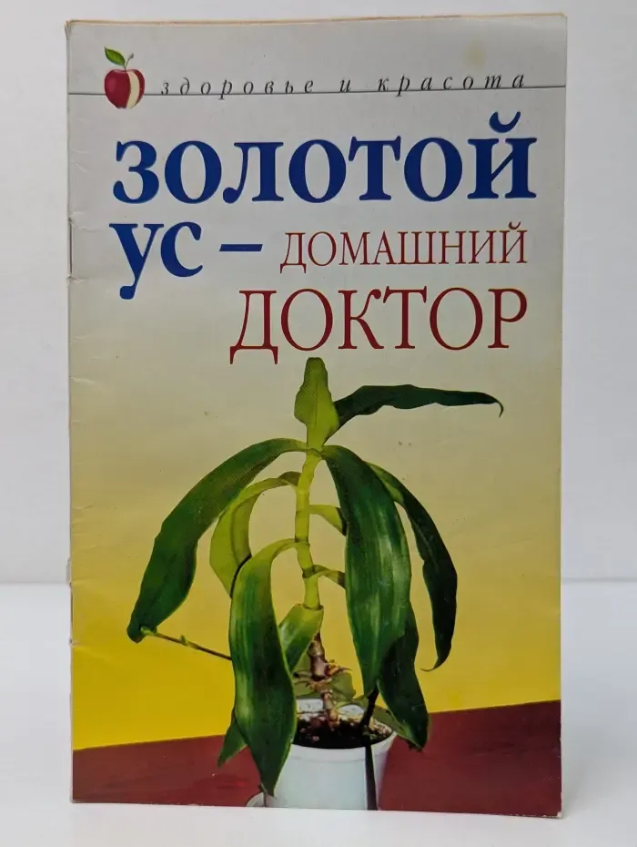 Золотой ус - домашний доктор