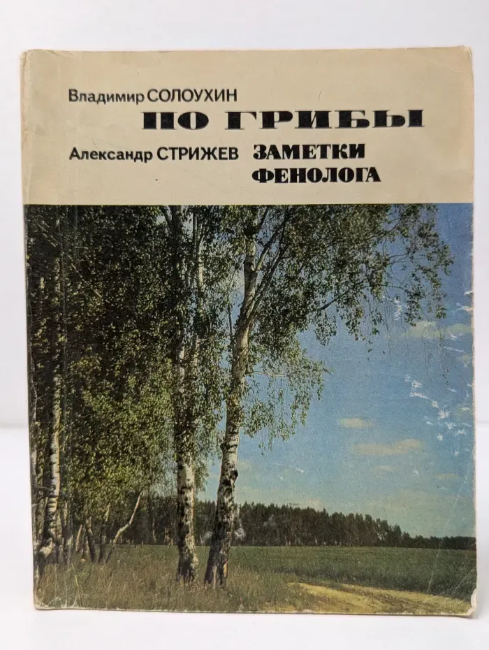 По грибы. Заметки фенолога