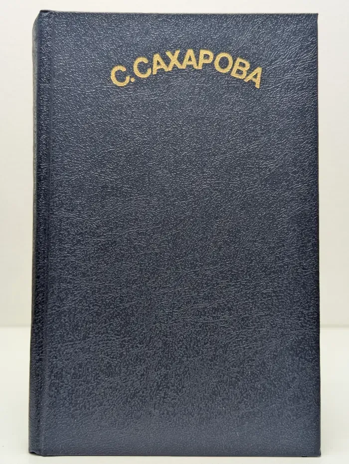 Академия домашних волшебников, или История о том, как однажды зимним вечером в комнату влетел кораблик-кленовый листок и Калинка сняла шапочку-невидимку...