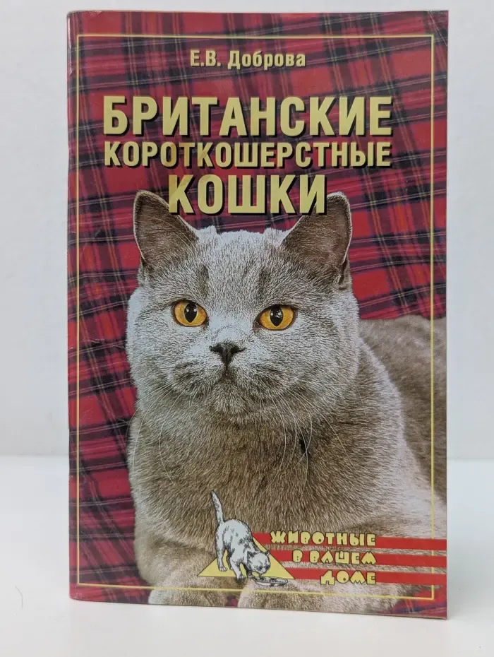 Животные в вашем доме. Британские короткошёрстные кошки