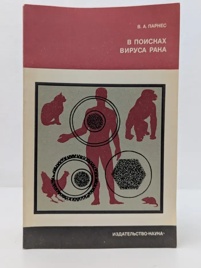 В поисках вируса рака