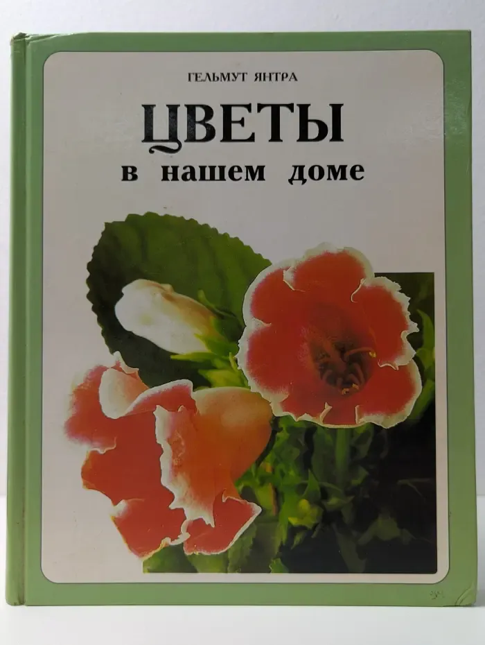 Цветы в нашем доме