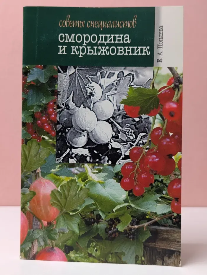 Смородина и крыжовник