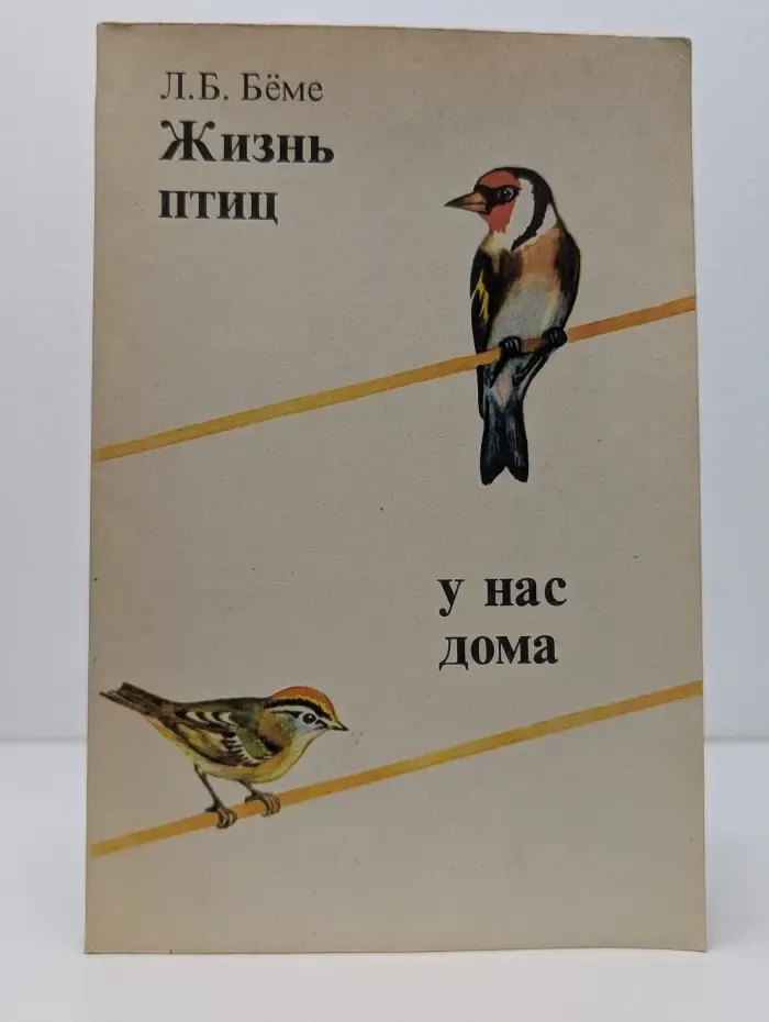 Жизнь птиц у нас дома
