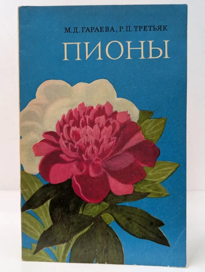 Пионы