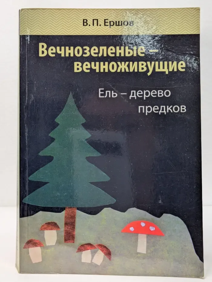 Вечнозеленые - вечноживущие. Ель - дерево предков