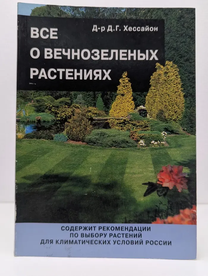 Все о вечнозеленых растениях