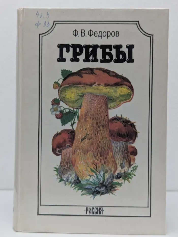Грибы