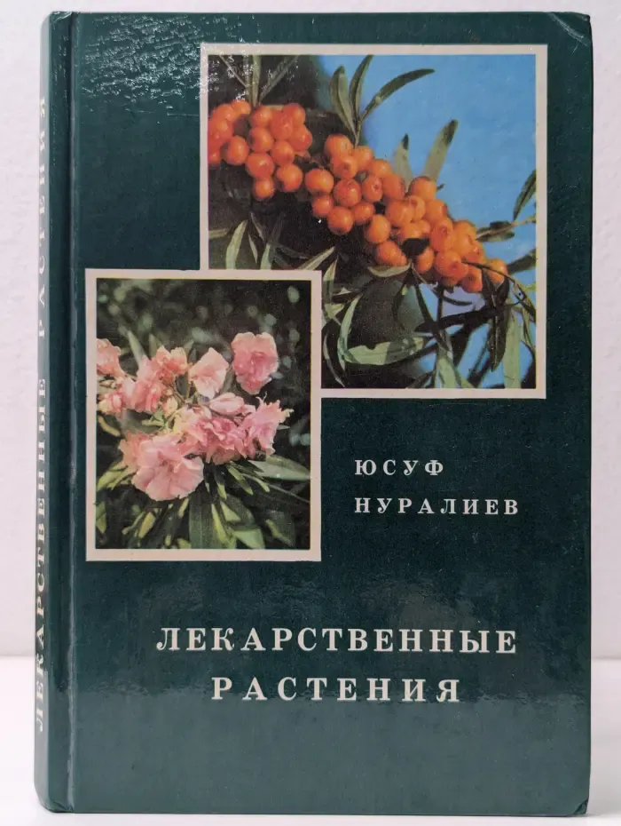 Лекарственные растения. Целебные свойства фруктов и овощей