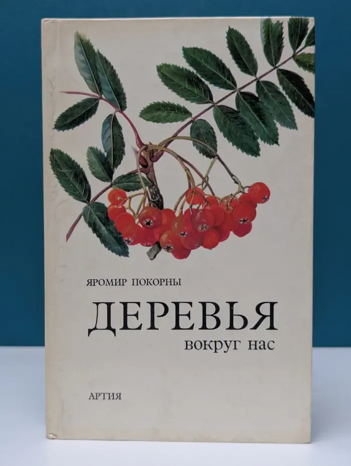 Деревья вокруг нас