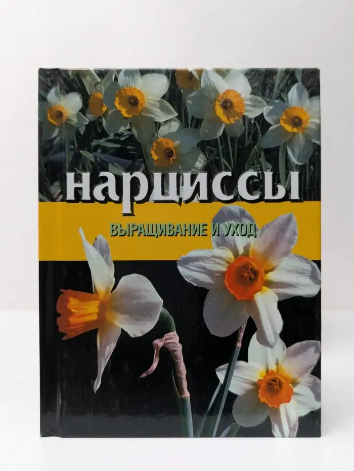 Нарциссы. Выращивание и уход