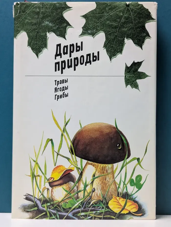 Дары природы. Трава, ягоды, грибы